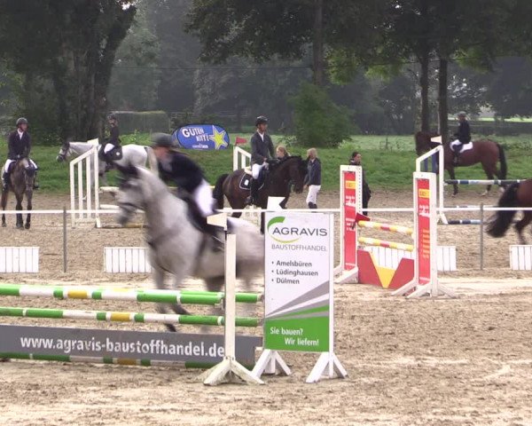 Springturnier Lüdinghausen 2021