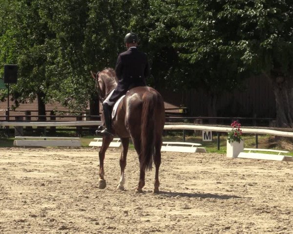 Reitturnier Recklinghausen 2022