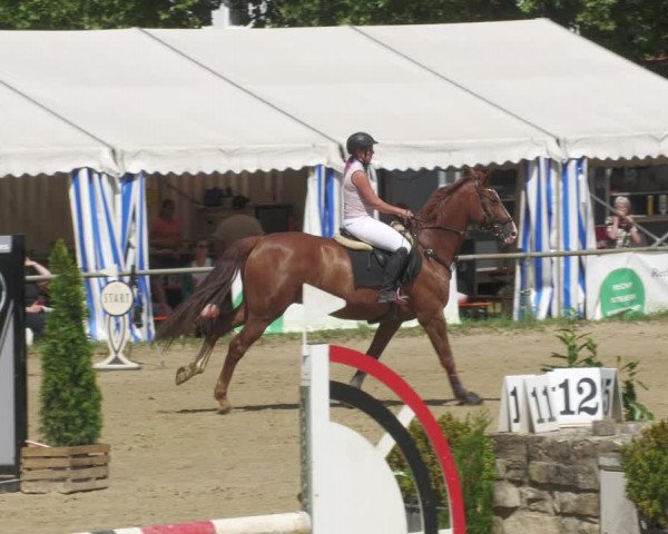 Reitturnier Heiligenwald 2022