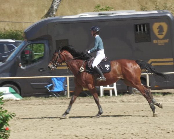 Reitturnier Heiligenwald 2022
