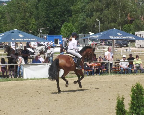 Reitturnier Heiligenwald 2022