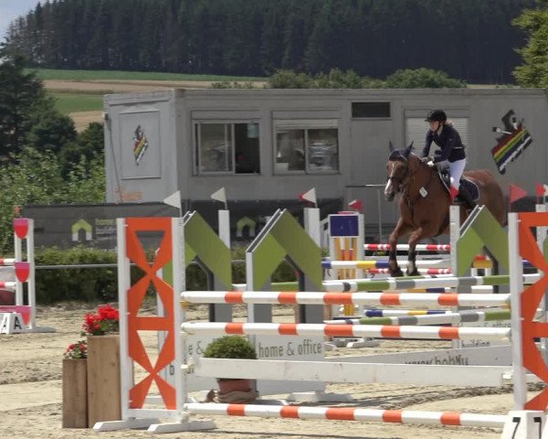 Reitturnier Weiswampach 2022