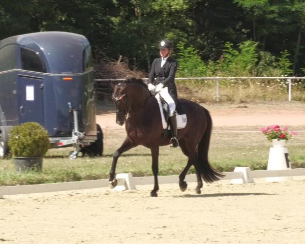 Reitturnier Heiligenwald 2022