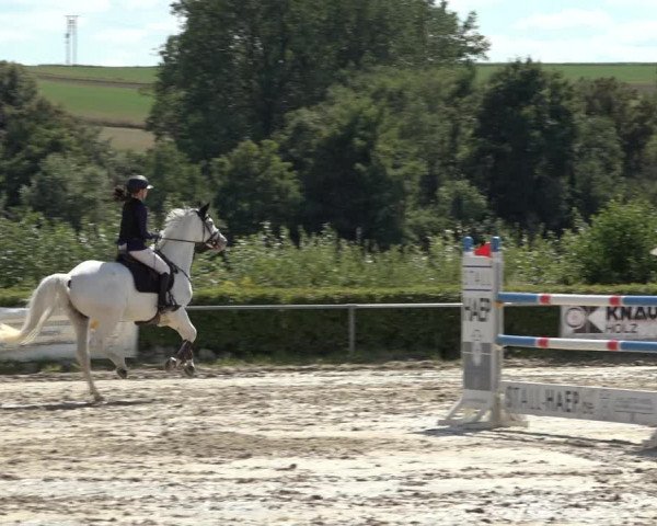 Reitturnier Weiswampach 2022