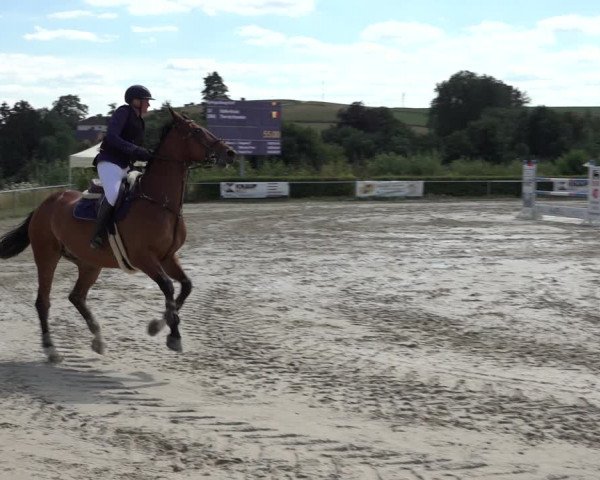 Reitturnier Weiswampach 2022