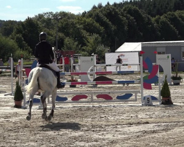Reitturnier Weiswampach 2022