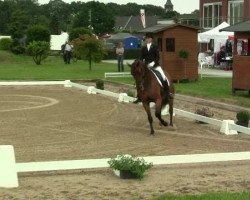 dressage horse Rasputin W (Oldenburg, 2006, from Rooney)