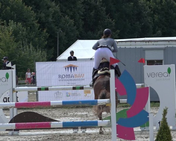 Reitturnier Weiswampach 2022