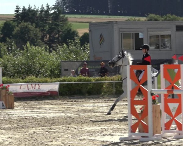 Reitturnier Weiswampach 2022
