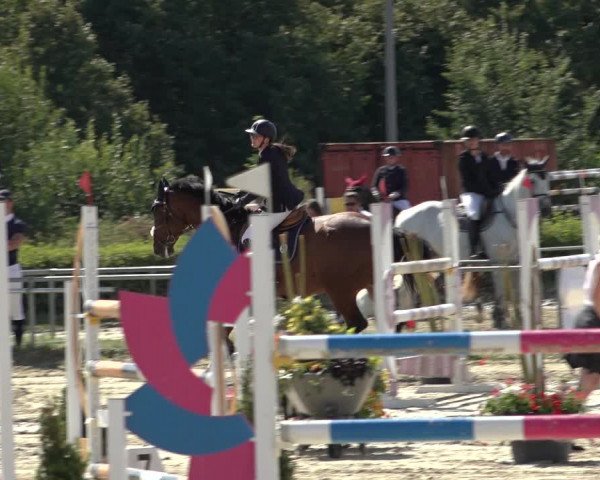 Reitturnier Weiswampach 2022