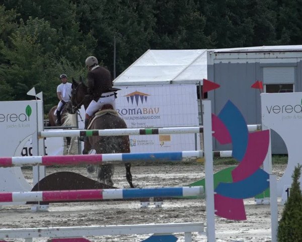 Reitturnier Weiswampach 2022