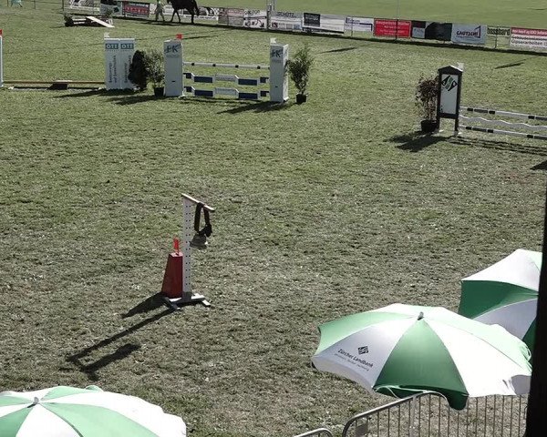 Reitturnier Elgg 2022