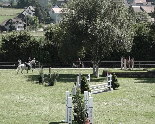 Reitturnier Elgg 2022