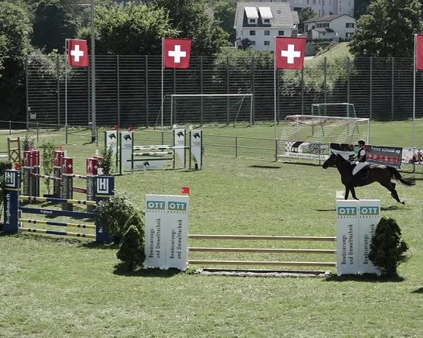 Reitturnier Elgg 2022