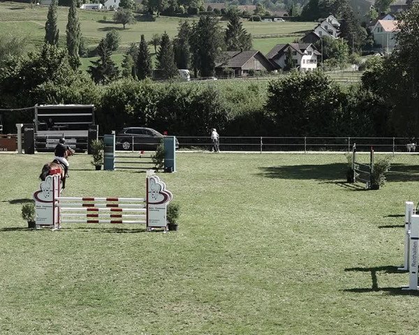 Reitturnier Elgg 2022