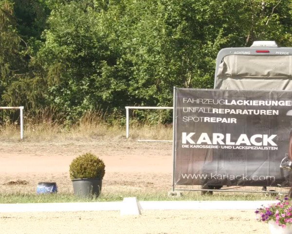 Reitturnier Heiligenwald 2022