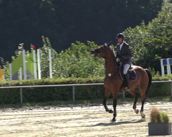 Reitturnier Weiswampach 2022