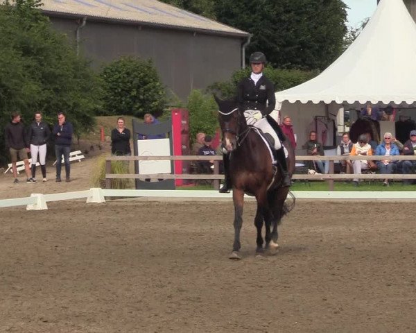 Reitturnier Kleinsolt 2022