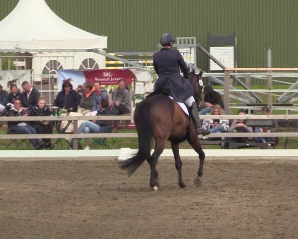 Reitturnier Kleinsolt 2022