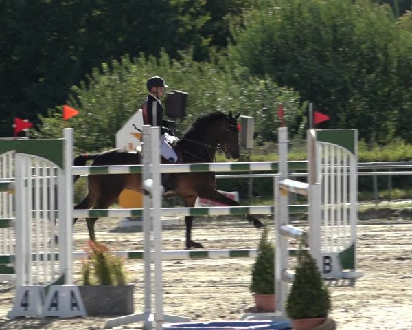 Reitturnier Weiswampach 2022