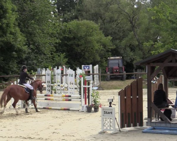 Reitturnier Marienheide-Kempershöhe 2022