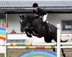 jumper Elena (Hanoverian, 1997, from Escudo I)