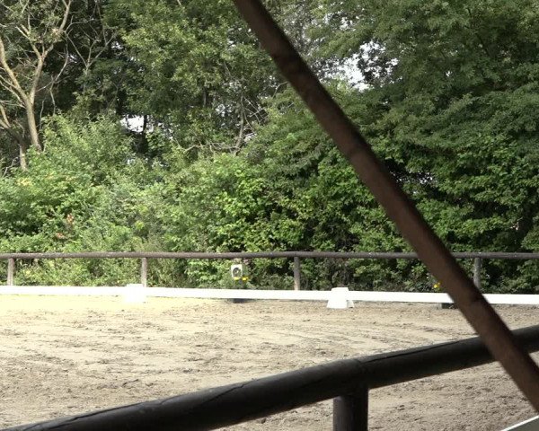 Reitturnier Marienheide-Kempershöhe 2022