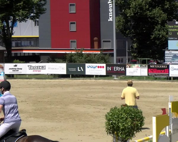 Reitturnier Dagmersellen 2022
