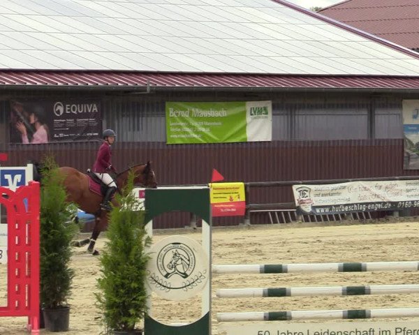 Reitturnier Marienheide-Kempershöhe 2022