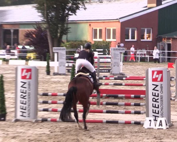 Springturnier Lüdinghausen 2021