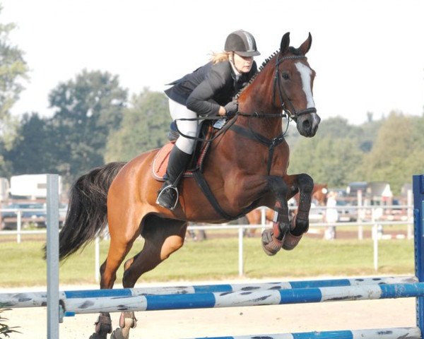 jumper Pizzarro 1 (Westphalian, 1993, from Pakt)