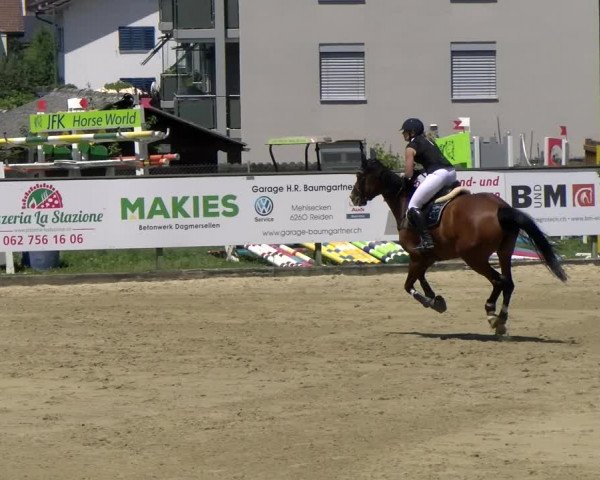 Reitturnier Dagmersellen 2022