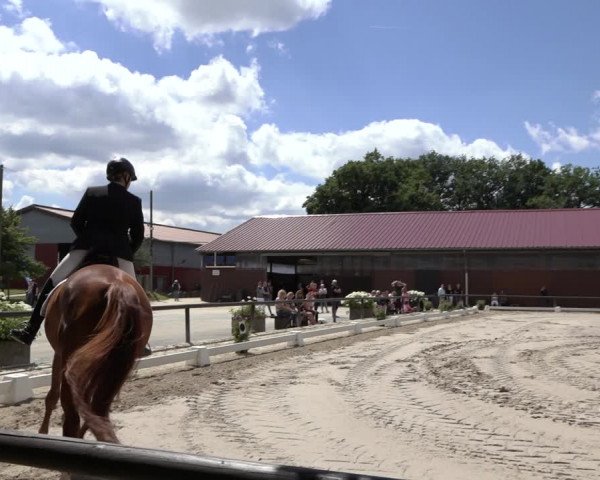 Reitturnier Marienheide-Kempershöhe 2022