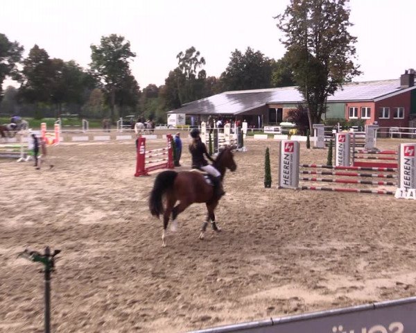 Springturnier Lüdinghausen 2021