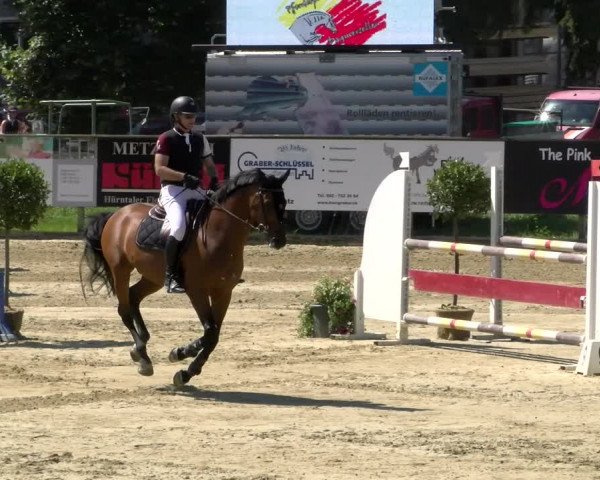 Reitturnier Dagmersellen 2022
