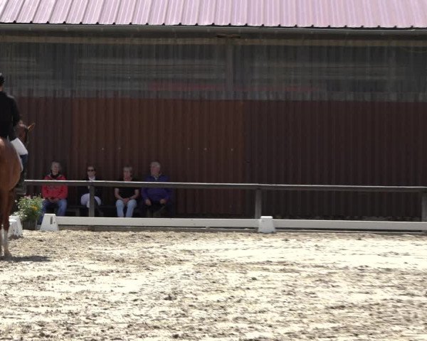 Reitturnier Marienheide-Kempershöhe 2022