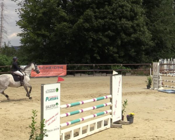 Reitturnier Marienheide-Kempershöhe 2022