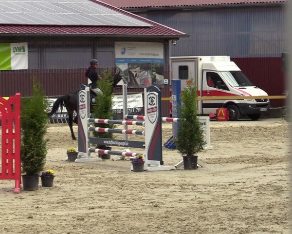 Reitturnier Marienheide-Kempershöhe 2022