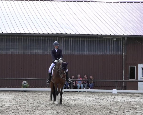Reitturnier Marienheide-Kempershöhe 2022