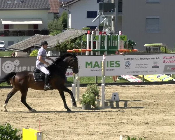 Reitturnier Dagmersellen 2022