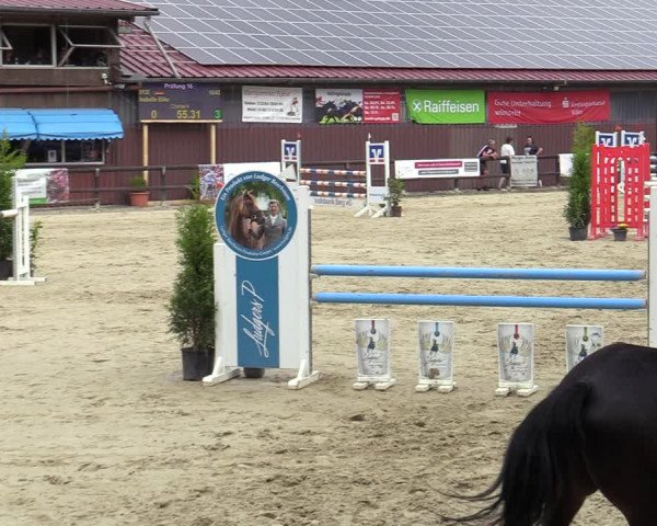 Reitturnier Marienheide-Kempershöhe 2022