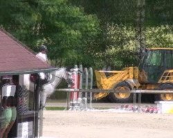 jumper Carlos T 4 (Oldenburg show jumper, 2007)