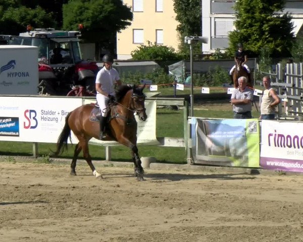 Reitturnier Dagmersellen 2022