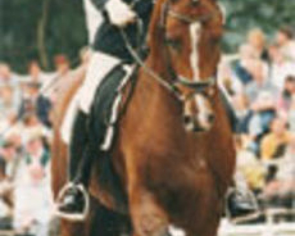 Deckhengst Landjuwel Gold (Oldenburger, 1994, von Landadel)