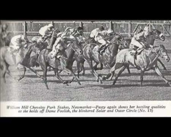 broodmare Pasty xx (Thoroughbred, 1973, from Raffingora xx)
