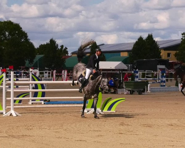 Reitturnier Neustadt/Dosse 2022