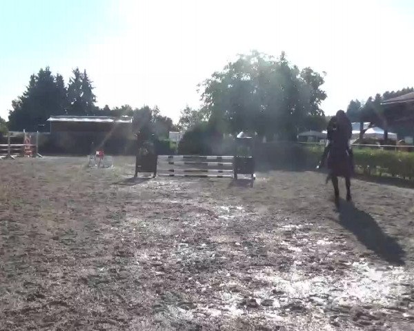 Video von Krilon SB