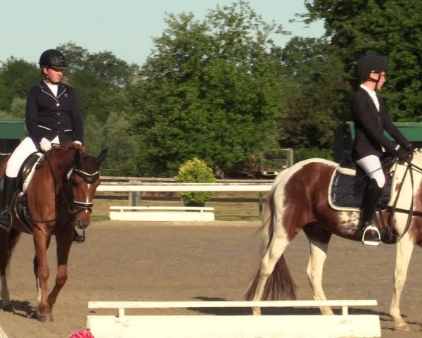Reitturnier Recklinghausen 2022