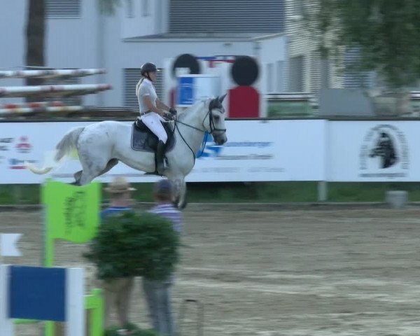 Reitturnier Dagmersellen 2022