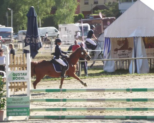 Reitturnier Heiligenwald 2022